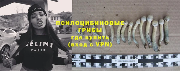 гашик Абаза