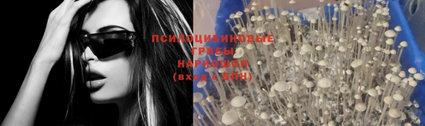гашик Абаза