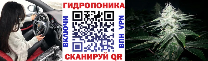 Шишки марихуана Ganja  ОМГ ОМГ онион  Моршанск  купить закладку 